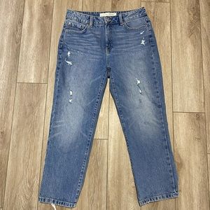 Denver Hayes High Rise Straight Crop Jeans